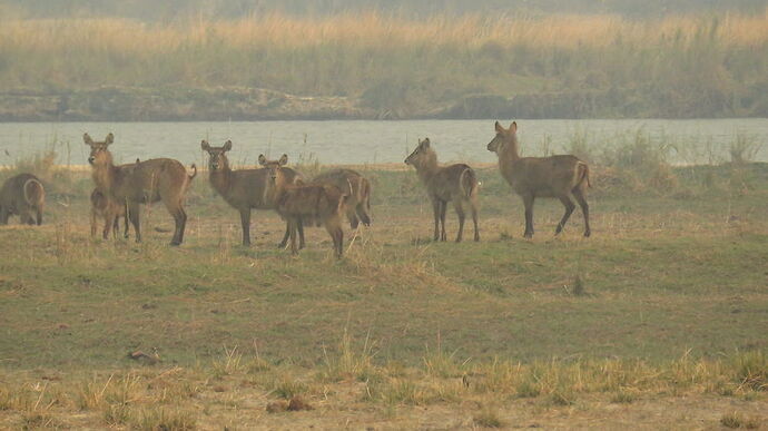 Re: NAMBOTSVIC Namibie- Botswana- Victoria Falls, 3 semaines magiques - PATOUTAILLE