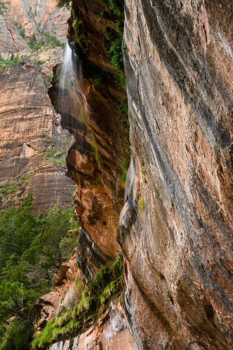 Vendredi 12 août: Grand Canyon North Rim – Zion - darth