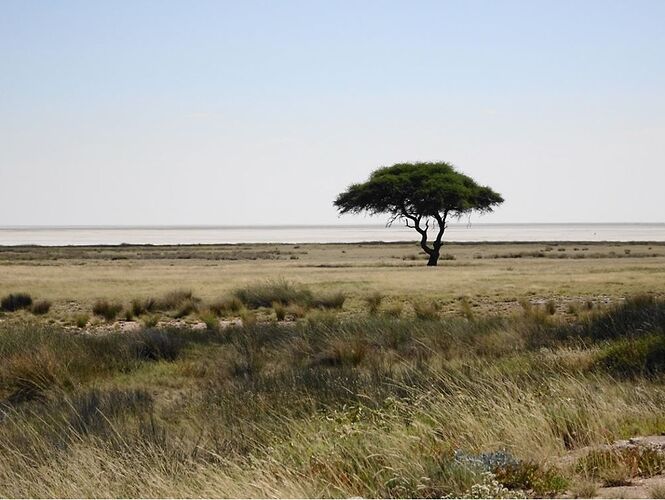 Re: 3 semaines en mai en Namibie : voyage magique  - Severine-B