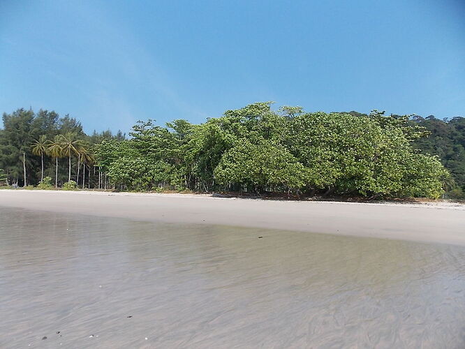 Re: COMMENT RESERVER SON BUNGALOW A TARUTAO POUR DEUX NUITS - terima khasi