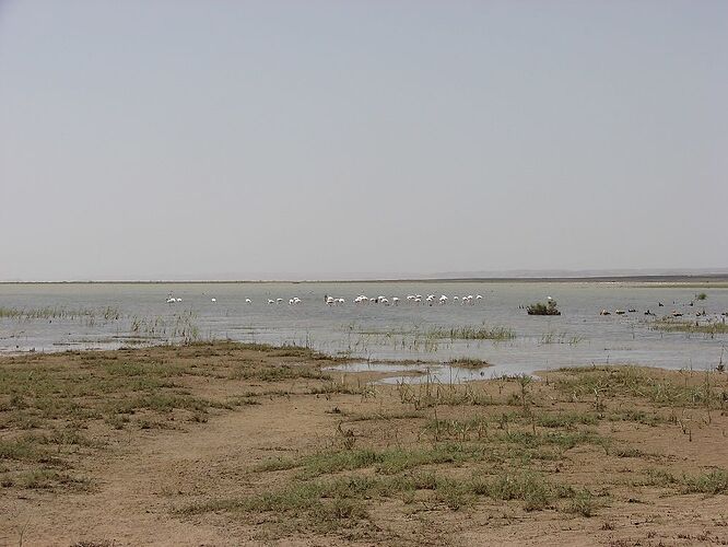 @ Traou le lac de Merzouga  - hannahteruel