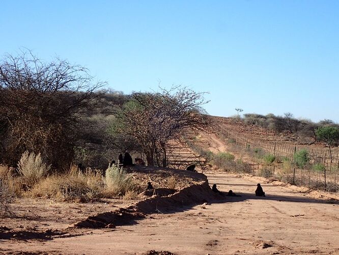 Re: Namibie - 15 jours en octobre 2018 - pascal41lc