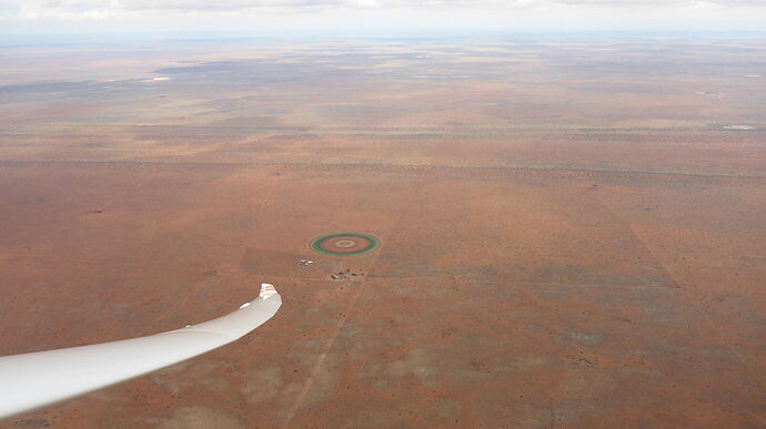 12 jours en Damaraland et Kaokoland + Etosha - Surya11