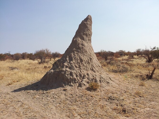 Voyage Namibie et Botswana 4 semaines sans réservations - Morchella