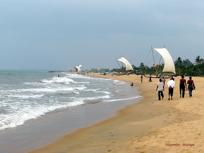 Sri Lanka 2010 001