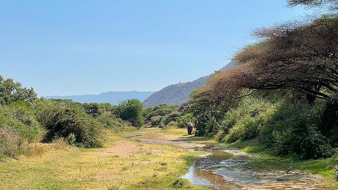 superbe safari en Tanzanie avec Annie et Joseph de Faune et Flore - Caroline et Eric