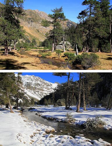 Re: Dans les Hautes Pyrénées, teintes d'automne et blancheur hivernale - jem
