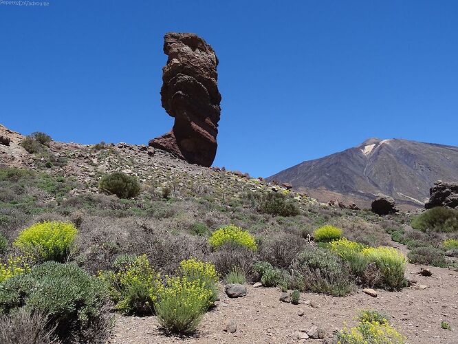 Tenerife: 1 semaine au pied du Teide - PepetteEnVadrouille
