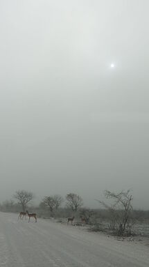 Le nuage de sable de Goas - PATOUTAILLE