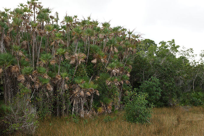 Découverte de le FLORIDE - Les KEYS & Les EVERGLADES - cartesien