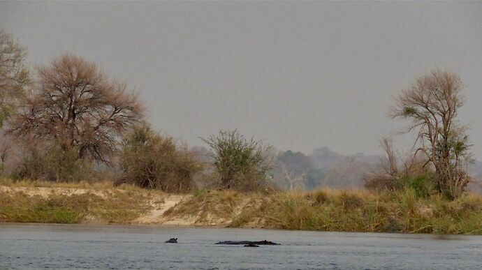 Re: NAMBOTSVIC Namibie- Botswana- Victoria Falls, 3 semaines magiques - PATOUTAILLE