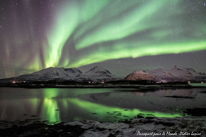 SENJA : LA BELLE OUBLIEE - PAPOLEMO