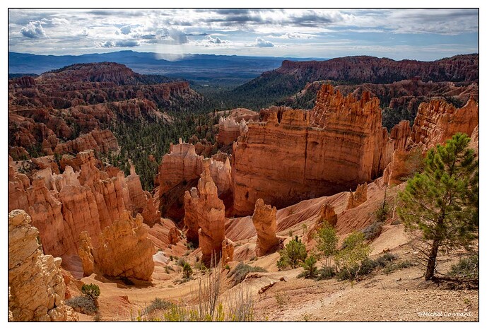 BRYCE (173)