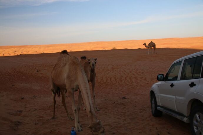 2 semaines de camping à Oman : des treks, des dunes et des wadis : Suite - Carines26