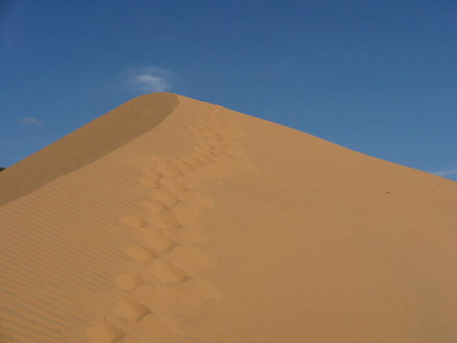 Nước Mắm Dunes de Sable - Abalone_vn