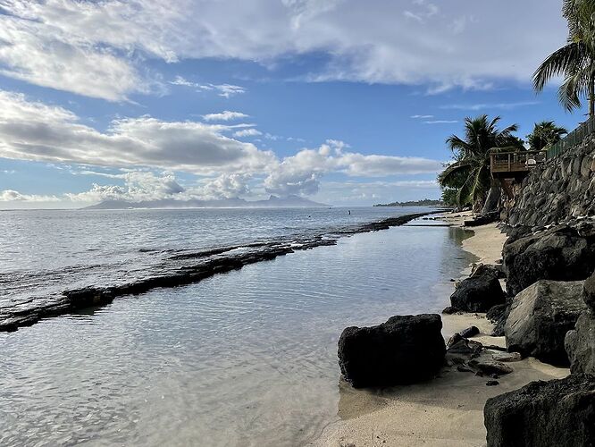 Retour de POLYNÉSIE : TAHITI, le retour. - PATOUTAILLE