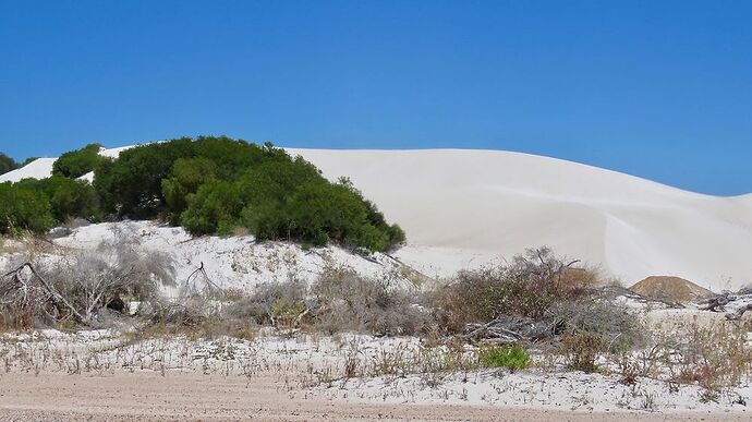 Re: Australie 2017, Côte Ouest de Broome à Perth - PATOUTAILLE