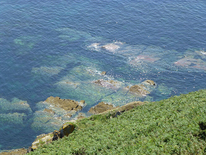 Re: Carnet de voyage, une semaine sous le soleil de Bretagne - Fecampois