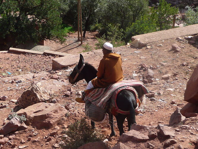 PHOTOS du souk entre Marrakech et Ouarzazate - trostang