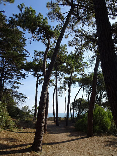 Re: Carnet de voyage 1 semaine sur l'île de Noirmoutier - Fecampois