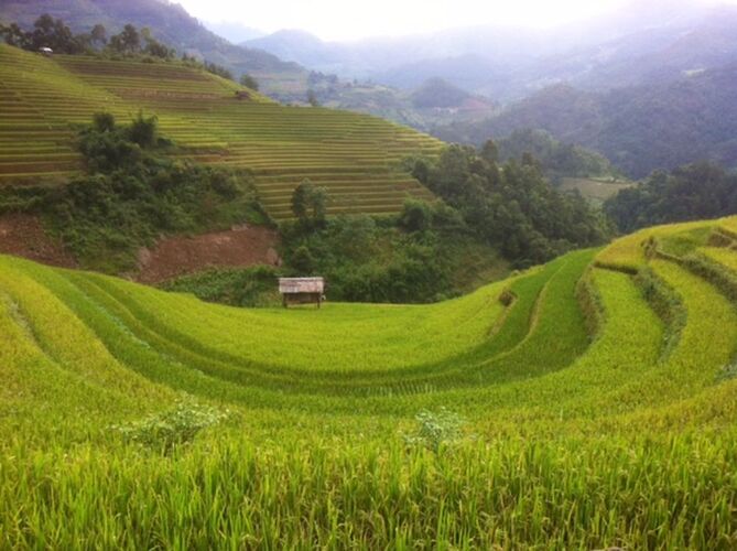 Re: Voyage Vietnam Nord - Abalone_vn