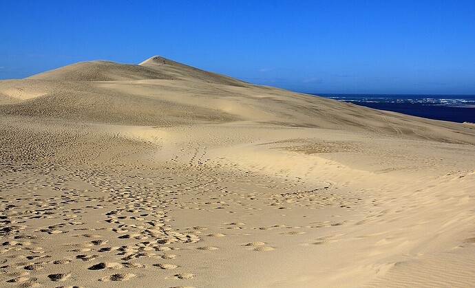 Dune Pilat
