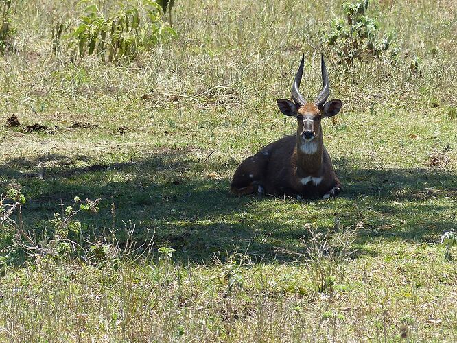 Dernière journée au parc Arusha - fabienne65