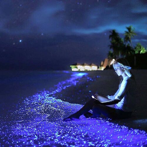 Glowing Beach - Maldives - bioluminescence du plancton  - Philomaldives Ex guide Safaris