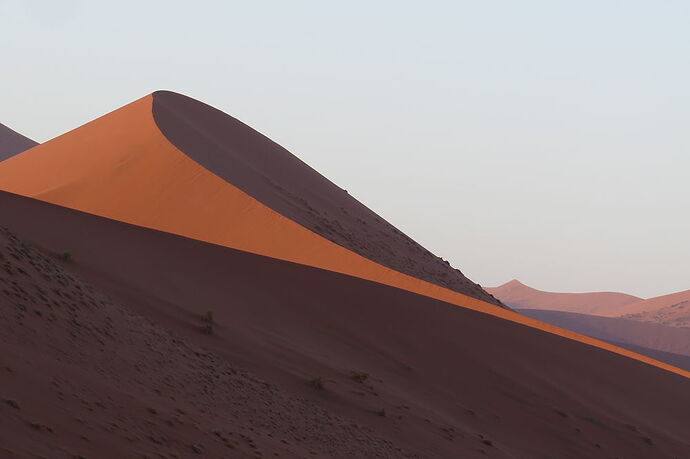 Re: Organisation de la matinée à Sossusvlei - paysages7117