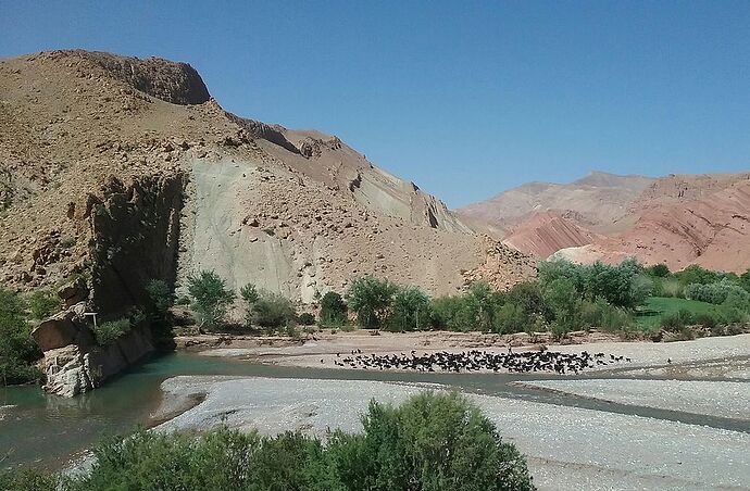 Re: Trois semaines en avril au Maroc  - trostang