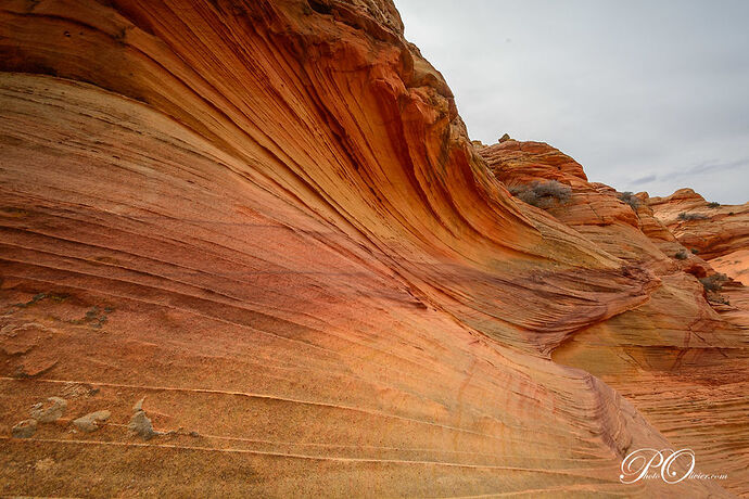 South Coyote Buttes - darth