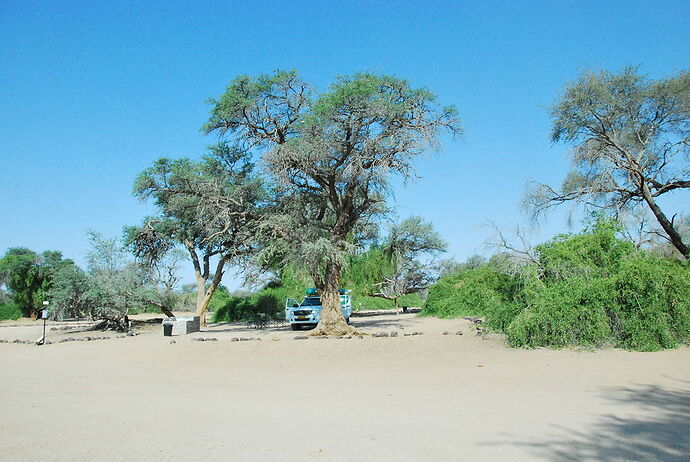 J7 en route pour Brandberg White Lady Lodge - llce