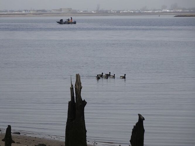 De Queens à Manhattan entre mer et terre - sourisgrise