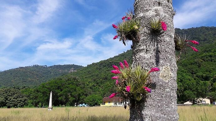 Visites autour de Rio de Janeiro - France-Rio