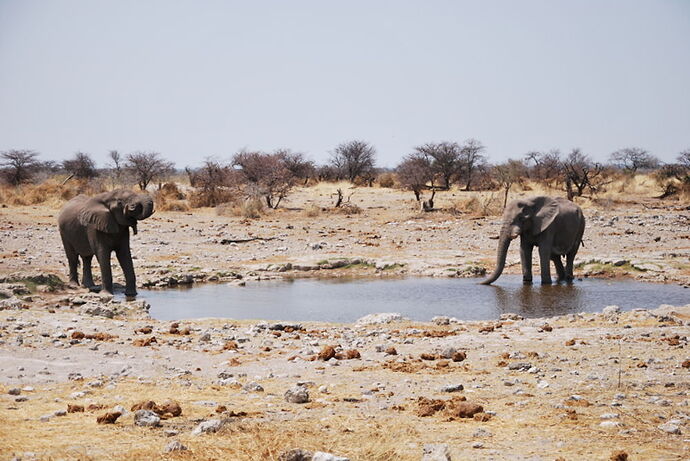 Récit d'un merveilleux voyage en Namibie j3 - llce