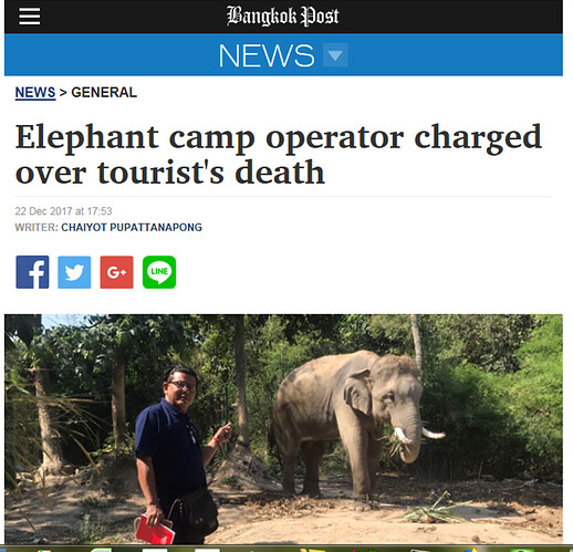 Re: rencontre avec les éléphants à Chiang Mai - pelotedelaine