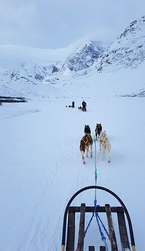 Re: De Tromsø aux îles Lofoten - 11 jours de road trip arctique - sebnella