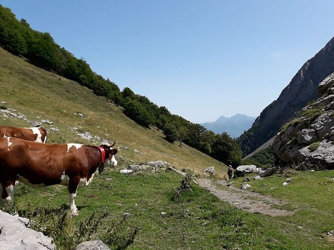 4 jours dans la magie des Pyrénées - Theo6476 4 jours dans la magie des Pyrénées - Theo6476