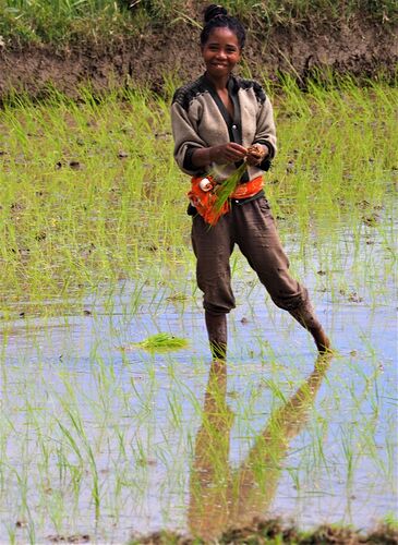 4 semai,es en 4x4 à Madagascar - PIHIEN