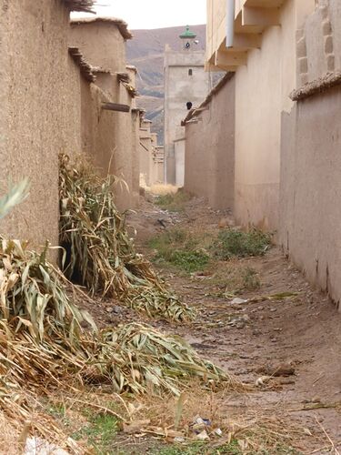 Re: Montagnes,oasis,kasbahs du Maroc  - mimidada