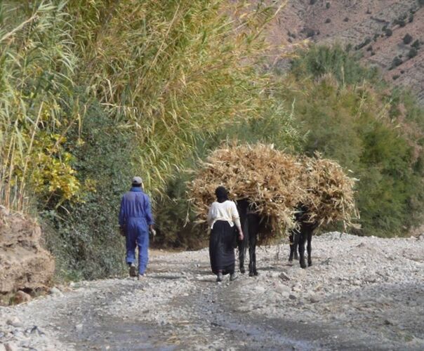 Re: Montagnes,oasis,kasbahs du Maroc  - mimidada