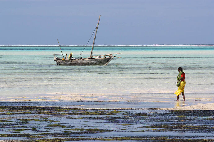 Re: Hôtel Stone Town et Jambiani à Zanzibar  - Philippe Thouvenot