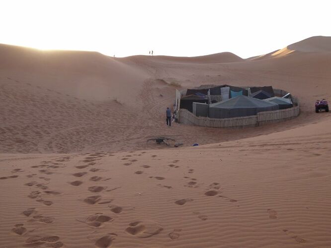 Re: Excursions au desert en dromadaire. - rosido