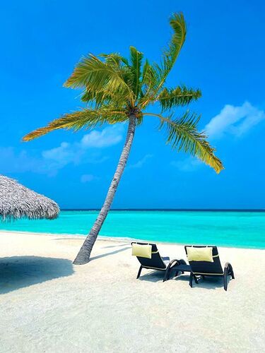 Météo du 21 Février 2021 - Phil Ô Maldives Guide Safaris
