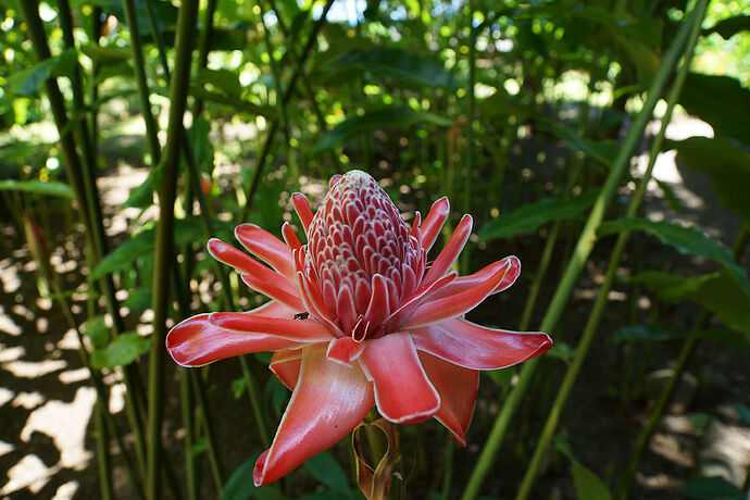 Découverte de la cote Ouest de Tahiti - cartesien