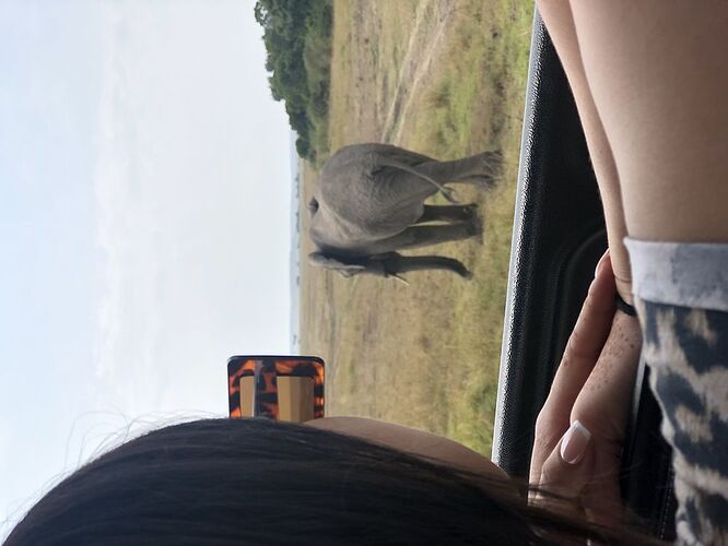 Re: Waltz Tours Safaris au Kenya - Hannah-Ahmed