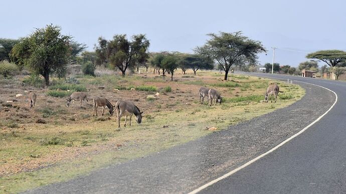 Re: Au coeur du Kenya ; le Kenya dans le coeur - Jmarc71