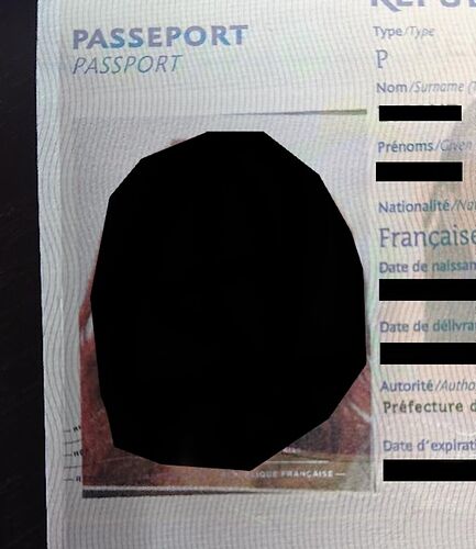 Probleme photo passeport, voyage USA - bebo89