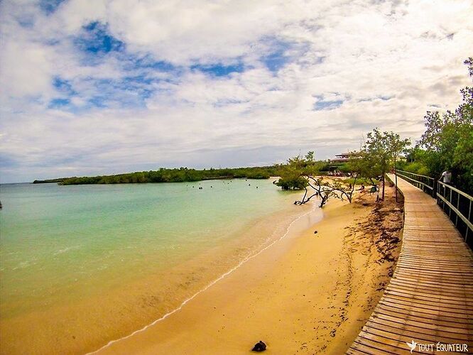 Re: iles galapagos en solo... Conseils ? - LéonEquateur