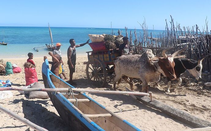 Re: Côte ouest de Tuléar à Morondava - worlder56